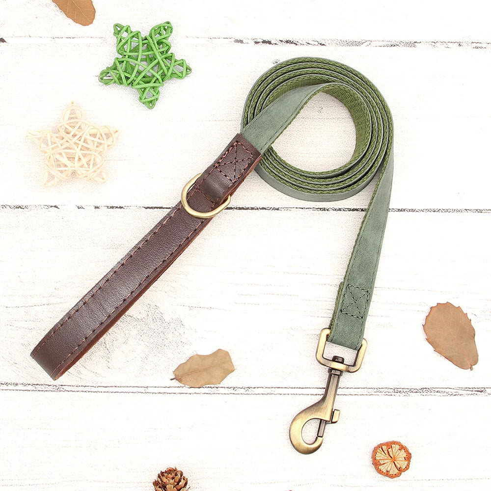 Named Leather Collar & Leash