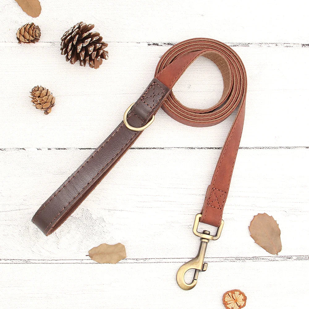 Named Leather Collar & Leash