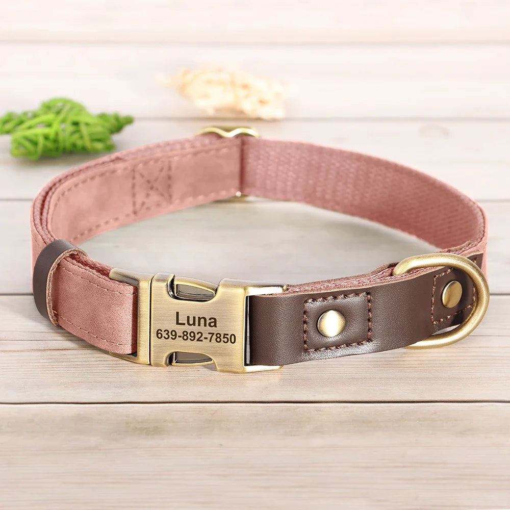 Named Leather Collar & Leash