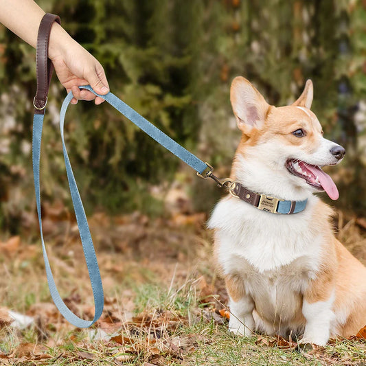 Named Leather Collar & Leash